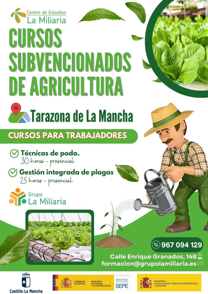 Técnicas de poda